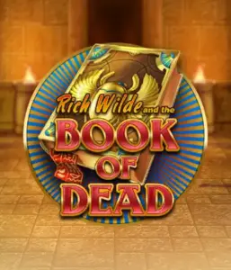 Погрузитесь в захватывающий мир слота Book of Dead от Play'n GO, показывающий яркую графику путешествия Рича Уайлда по древнеегипетским гробницам и артефактам. Откройте затерянные богатства с захватывающими механиками, такими как бесплатные вращения, расширяющиеся символы и возможность игры на риск. Идеально для любителей приключений, желающих раскопок секретов.